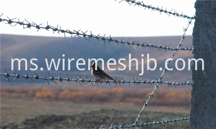 Galvanized Barbed Wire Fence